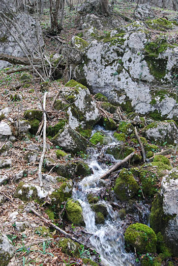 Главный выход источника у водопада Весенний