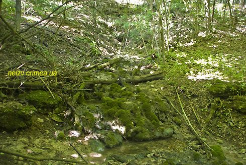 Место впадения ручья из пещеры-источника E312 в основное русло балки Осычки. Туфовый натек