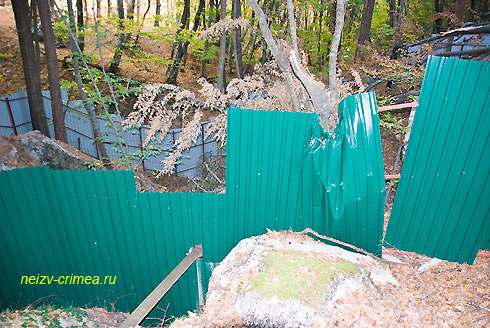 Ограда водоохранной зоны источника Лади I, поврежденная упавшим деревом