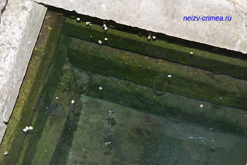 Уровень воды в старом колодце в балке Кумеч-Йылга. Апрель 2017г.